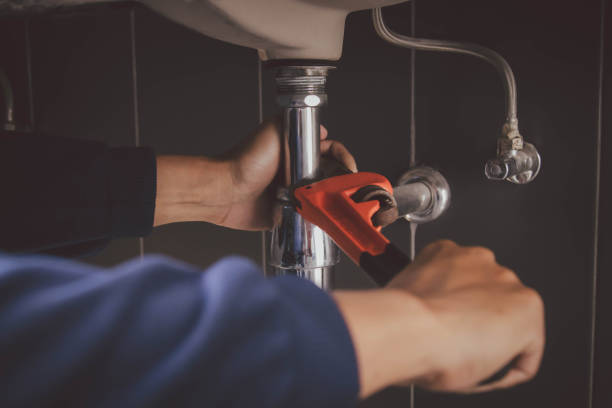 Best Plumbing Services Near Me  in Nd Point, WI